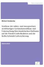Synthese der mikro- und mesoporoesen zeolithartigen Gerustalumosilikate und Untersuchung ihres katalytischen Einflusses auf die Friedel-Crafts-Reaktion und die Kolbe-Schmidt-Carboxylierung af Michael Smeljansky