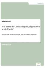Was ist mit der Umsetzung der Jungenarbeit in die Praxis? af Julia Schedel