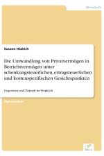 Umwandlung von Privatvermoegen in Betriebsvermoegen unter schenkungsteuerlichen, ertragsteuerlichen und kostenspezifischen Gesichtspunkten af Susann Hadrich