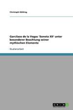 Garcilaso de la Vegas 'Soneto XII' unter besonderer Beachtung seiner mythischen Elemente af Christoph Dahling