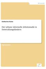 urbane informelle Arbeitsmarkt in Entwicklungslandern af Katharina Kainz