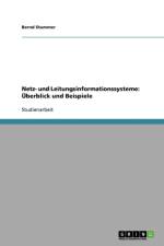Netz- Und Leitungsinformationssysteme af Bernd Stummer
