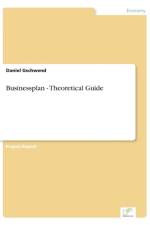 Businessplan - Theoretical Guide af Daniel Gschwend