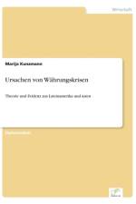 Ursachen von Wahrungskrisen af Marija Kunzmann