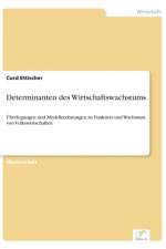 Determinanten des Wirtschaftswachstums af Curd Ettischer