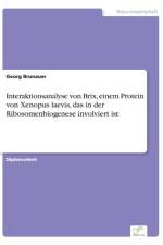 Interaktionsanalyse von Brix, einem Protein von Xenopus laevis, das in der Ribosomenbiogenese involviert ist af Georg Brunauer