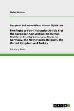 Right to Fair Trial under Article 6 of the European Convention on Human Rights in Immigration Law Cases in Germany, the Netherlands, Belgium, the United Kingdom and Turkey af Stefan Kirchner