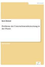Probleme der Unternehmensbewertung in der Praxis af Boris Nieland