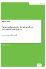 Netzregulierung in der deutschen Elektrizitatswirtschaft af Marco Fritz