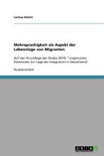 Mehrsprachigkeit als Aspekt der Lebenslage von Migranten af Larissa Schott