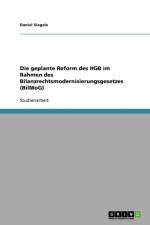 geplante Reform des HGB im Rahmen des Bilanzrechtsmodernisierungsgesetzes (BilMoG) af Daniel Siegele