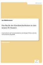 Recht der Kreditsicherheiten in den neuen EU-Staaten af Jan Blattermann