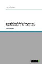 Jugendkulturelle Orientierungen Und Umgehensweisen in Der Postmoderne af Yvonne Metzger