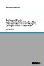 Das Islambild in den spatmittelalterlichen Pilgerberichten unter besonderer Berucksichtung des 
