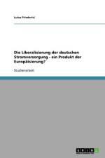 Liberalisierung der deutschen Stromversorgung - ein Produkt der Europaisierung? af Luisa Friederici