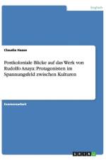 Postkoloniale Blicke auf das Werk von Rudolfo Anaya af Claudia Haase