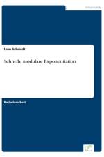 Schnelle modulare Exponentiation af Dr Uwe (University of Bonn) Schmidt