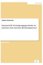 Immaterielle Vermoegensgegenstande im internen und externen Rechnungswesen af Andrea Stowasser