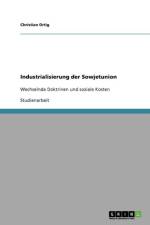 Industrialisierung der Sowjetunion af Christian Ortig