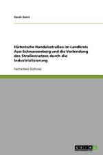 Historische Handelsstrassen im Landkreis Aue-Schwarzenberg und die Verbindung des Strassennetzes durch die Industrialisierung af Sarah Dorst