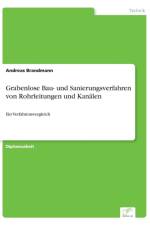 Grabenlose Bau- und Sanierungsverfahren von Rohrleitungen und Kanalen af Andreas Brandmann