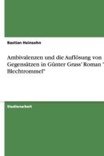 Ambivalenzen Und Die Auflosung Von Gegensatzen in Gunter Grass' Roman Die Blechtrommel af Bastian Heinsohn