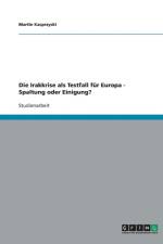 Die Irakkrise als Testfall fur Europa - Spaltung oder Einigung? af Martin Kacprzycki