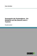 Kosmopolis der Postmoderne - Ein Ruckblick auf die Zukunft nach S. Toulmin af Peter Schroeder