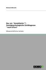 Nur ein Amoklaufer? - Sozialpsychologische Zeitdiagnose nach Erfurt af Richard Albrecht