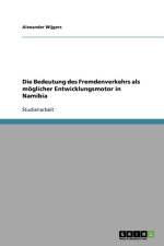 Die Bedeutung Des Fremdenverkehrs ALS Moglicher Entwicklungsmotor in Namibia af Alexander Wijgers