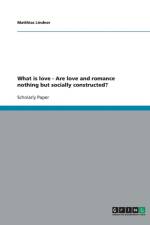 What is love - Are love and romance nothing but socially constructed? af Matthias Lindner