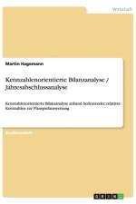 Kennzahlenorientierte Bilanzanalyse / Jahresabschlussanalyse af Martin Hagemann