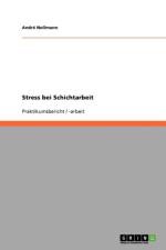 Stress bei Schichtarbeit af Andre Nollmann