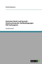 Zwischen Recht und Unrecht - Untersuchung der Haftbedingungen RAF-Gefangener af Kristina Reymann