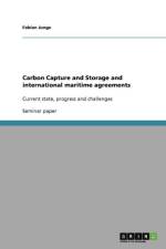 Carbon Capture and Storage and international maritime agreements af Fabian Junge