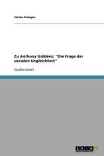 Zu Anthony Giddens af Stefan Siebigke