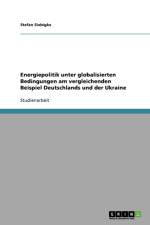 Energiepolitik unter globalisierten Bedingungen am vergleichenden Beispiel Deutschlands und der Ukraine af Stefan Siebigke
