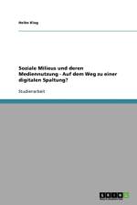 Soziale Milieus und deren Mediennutzung - Auf dem Weg zu einer digitalen Spaltung? af Heiko Klug