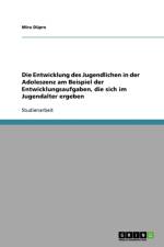 Die Entwicklung Des Jugendlichen in Der Adoleszenz af Mira Dupre