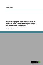 Rassismus gegen Afro-Amerikaner in den USA vom Ende des Burgerkrieges bis zum ersten Weltkrieg af Tobias Heyer