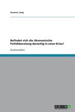 Befindet Sich Die Okonomische Politikberatung Derzeitig in Einer Krise? af Susanne Jung