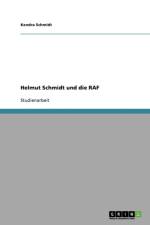 Helmut Schmidt und die RAF af Kendra Schmidt
