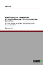 Moeglichkeiten zur Steigerung der Wirtschaftlichkeit und Effektivitat durch das Controlling af Ajda Altug