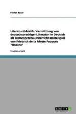 Literaturdidaktik af Florian Bauer