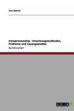 Intrapreneurship - Umsetzungsmethoden, Probleme und Loesungsansatze af Jana Babock