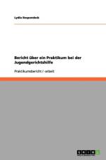 Bericht uber ein Praktikum bei der Jugendgerichtshilfe af Lydia Respondeck