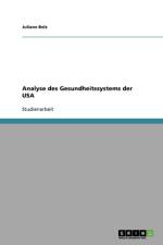 Analyse des Gesundheitssystems der USA af Juliane Belz