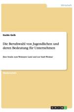 Berufswahl von Jugendlichen und deren Bedeutung fur Unternehmen af Guido Geib