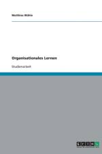 Organisationales Lernen af Matthias Wuhle