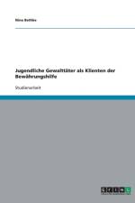 Jugendliche Gewalttater als Klienten der Bewahrungshilfe af Nina Bethke